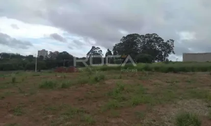 Terreno / lote para alugar em jardim guanabara, são carlos - ótima oportunidade!