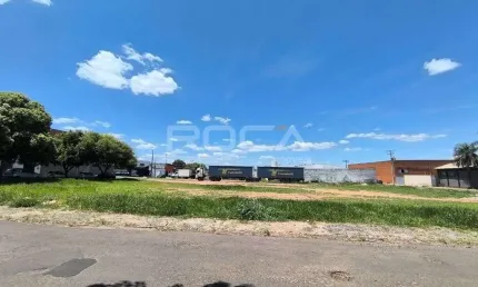 Terreno Padrão para alugar na Vila Izabel, São Carlos - Oportunidade incrível!
