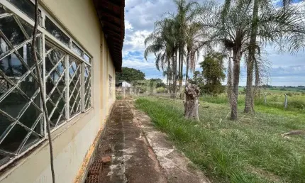 Chácara para alugar no Jardim Tangará, São Carlos: 3 dormitórios e ampla área de lazer!