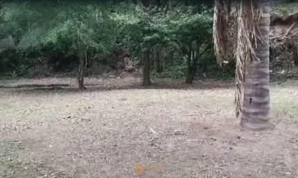 Terreno à venda no Cosme Velho, Rio de Janeiro 