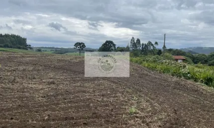 Sítio com 48.000 m², todo limpo, ótimo para plantação, analisa permuta parcial