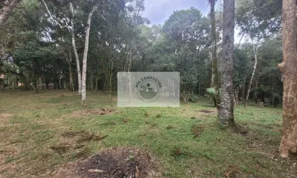 Terreno em campo alegre, ótimo para casa de campo, são 14.000 m²
