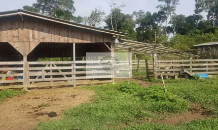 Sítio com 59.800 m2, com residência, nascente, horta