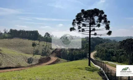 Terreno condomínio fechado em campo alegre, escriturado, aceita carro no negocio