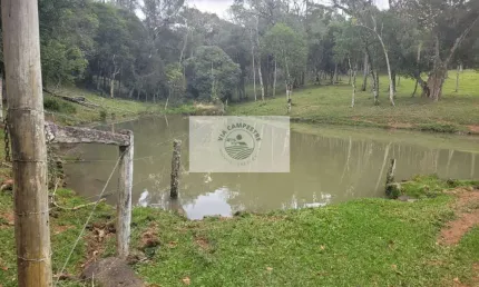 Sítio com 30.000 m², região de serrinha em campo alegre/sc, apenas 1,5 km do asfalto