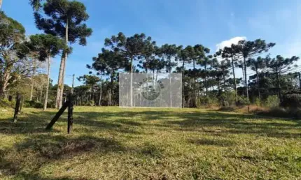 Terreno 8.142 m², escriturado, pode ser financiado pelo banco, varias opções de lotes