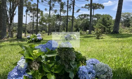 Terreno para sítio com 1.800 m², lugar alto, de esquina, frente para o asfalto