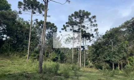 Sítio com 32.288 m², com nascente e riacho, próximo ao Sitio Cambará, escriturado