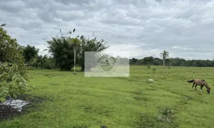 Terreno industrial, frente para o asfalto, poucos metros da BR-101, plano e limpo