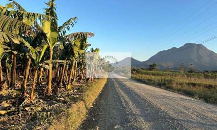 Sítios apartir de 20.000 m², Estrada do Pico, todos planos, escriturados, com lindas vistas, são 7 unidades