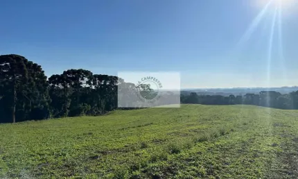 Area rural com 45 hectares,  escriturada, atrás do condominio trilha dos carroções