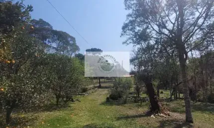 Sítio com 5.785 m², documentado, região de Avenquinha, com lago, araucárias
