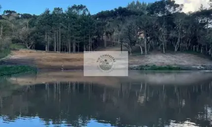 Sítio com 3.000 m², Bateias de Baixo, com lago e araucárias, escriturado