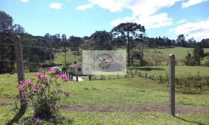 Sítio com 3.848 m², 500 metros do asfalto, com casa e riacho, lindas araucárias