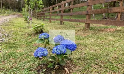 Terreno em campo alegre com 99.000 m², com pastagem, uma linda lagoa, escriturado