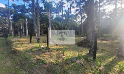 Terreno com 824 m², area central de Campo Alegre, escriturado