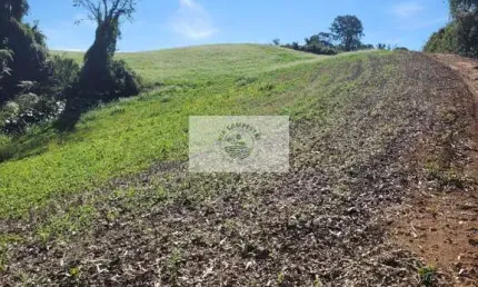 Sítio com 81.949 m², escriturado, aceita permuta, apenas 1.500 metros do asfalto