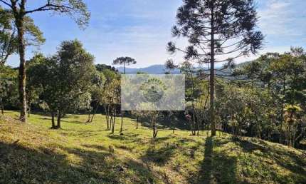Sítio com 20.000 m², escriturado, pertinho do asfalto, analisa permuta