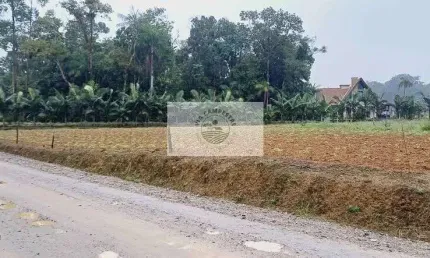 Sítio com 3.650 m² na região de Pirabeiraba, pronto para construir, com riacho