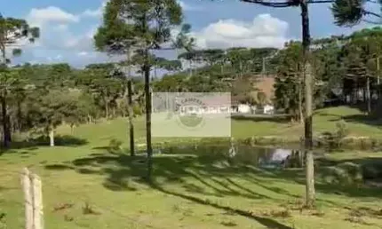 Sítio plano com 1.908 m², com araucarias, lago, apenas 3 km do asfalto, no Saltinho