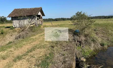 Terreno plano e todo limpo, ideal para condominio fechado, região em alta valorização