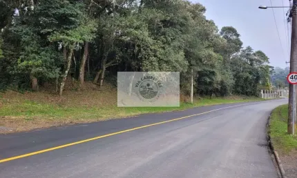 Terreno com 6.000 m², frente para o asfalto, escriturado