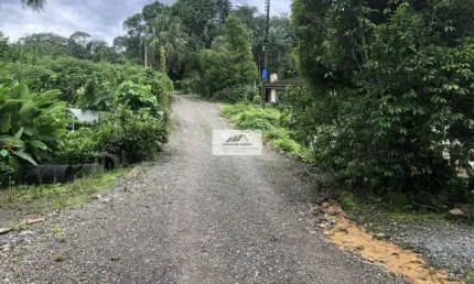 Amplo terreno urbano com 81.091 m², localizado na lateral da Rua Colon, bairro Gloria