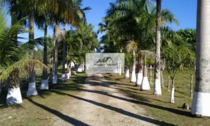 Sítio com 185.000 m², todo escriturado, pastagem formada, todo cercado, aceita permuta, em Pirabeiraba