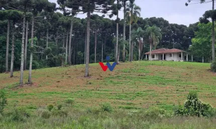 Fazenda com 3 dormitórios à venda, 1694000 m  por R  24.500.000,00 - Zona Rural - Contenda PR