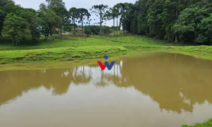 Chácara à venda, 254100 m  10 alqueires, por R  3.020.000,00 - Zona Rural - Araucária PR
