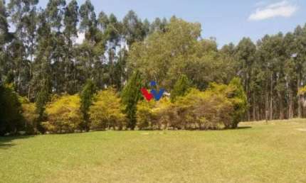 Fazenda com 3 dormitórios à venda, 1116000 m  por R  9.000.000,00 - Centro - Arapoti PR