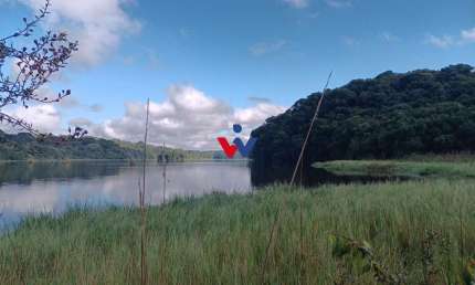 Chácara com 2 dormitórios à venda, 21473 m  por R  1.200.000,00 - Zona Rural - Araucária PR