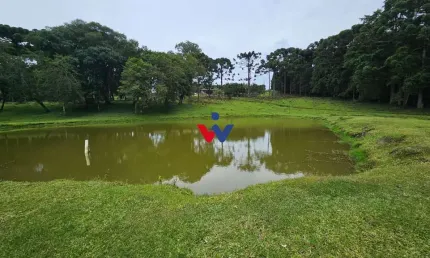 Sítio com 6 dormitórios à venda, 254100 m  por R  3.020.000,00 - Zona Rural - Araucária PR