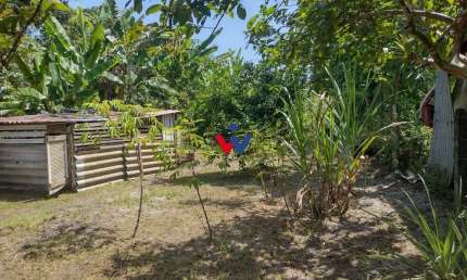 Chácara com 2 dormitórios à venda, 1820 m  por R  225.000,00 - Alexandra - Paranaguá PR