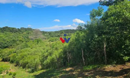 Chácara à venda, 7000 m  por R  255.000,00 - Zona Rural - Contenda PR
