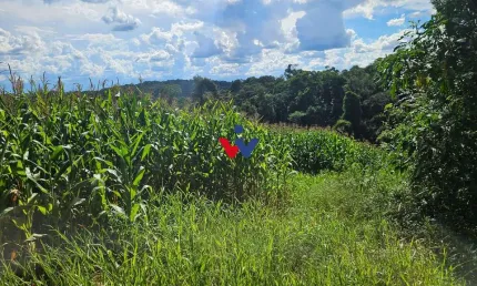 Chácara à venda, 36400m   em Catanduvas Do Sul - PR Zona rural de Contenda-PR