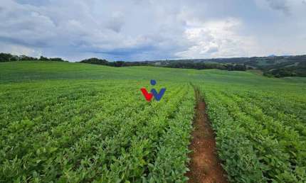 Chácara com 48400m , a 2,7 km do centro de Campo Magro-PR