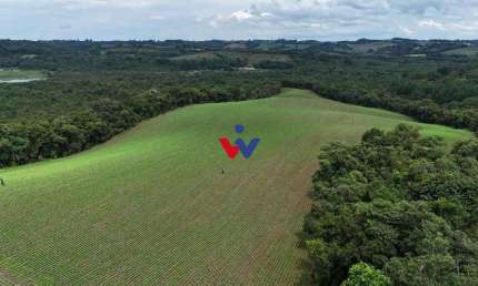 Rural à venda,242000.00 m , rio verde abaixo, ARAUCARIA - PR