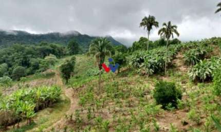Fazenda à venda no Centro, Morretes 