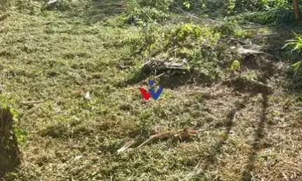 Terreno à venda,915.00 m , tanguá, ALMIRANTE TAMANDARE - PR