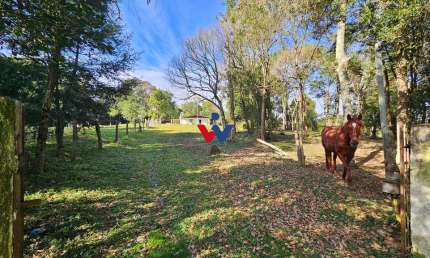 Chácara Completa em Araucária  23816 m  ,com Casa Ampla, Frutas, Pasto e Porteira Fechada