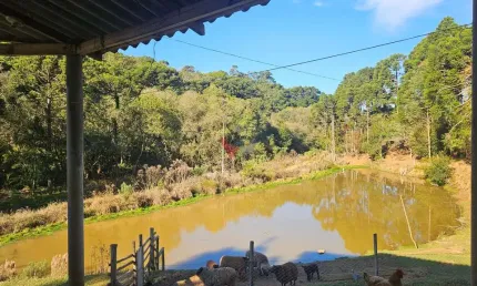 Chácara com 48400m  , aceita imóvel como parte do pagamento, Contenda-PR