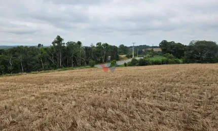 Chácara com 17000m  , com uma linda vista, frente para o asfalto, no Guajuvira em Araucária