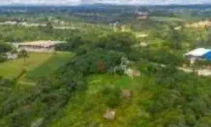 Terreno com 73.500m  a 5 min da electrolux  ideal para indústrias e grandes empresas