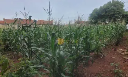 Terreno à venda, 125 m² por R$ 110.000,00 - Jardim Terras de Santa Maria - Hortolândia/SP
