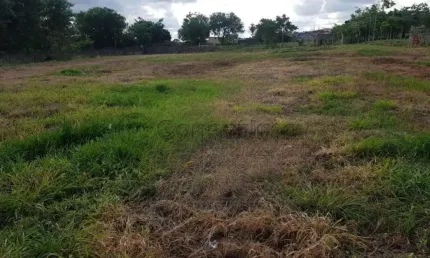 Excelente Localização  - Encontre Seu Novo Terreno com a Imobiliária Conectimov.