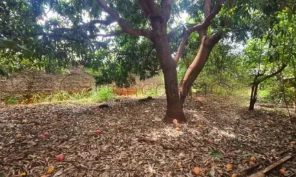 Terreno em condomínio de 330m² para locação e venda - condomínio itamaraty