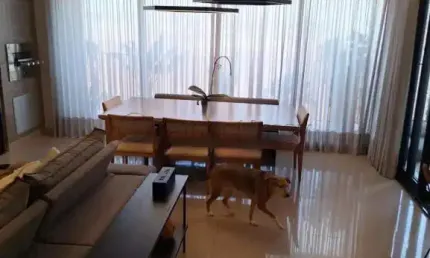 Excelente Localização e Conforto - Encontre Seu Novo Lar com a Imobiliária Conectimov.