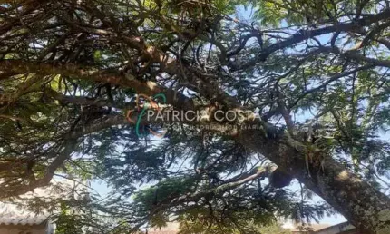 Casa com 4 quartos à venda na Rua Rosalina Aguiar Lentz, Centro, Garopaba