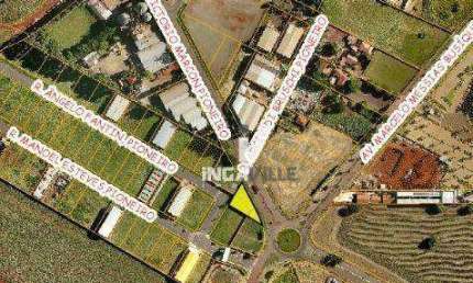 Terreno à venda, 1000 m² por R$ 750.000,00 - Parque Industrial - Maringá/PR